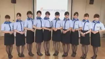 Japan Pussy Airline